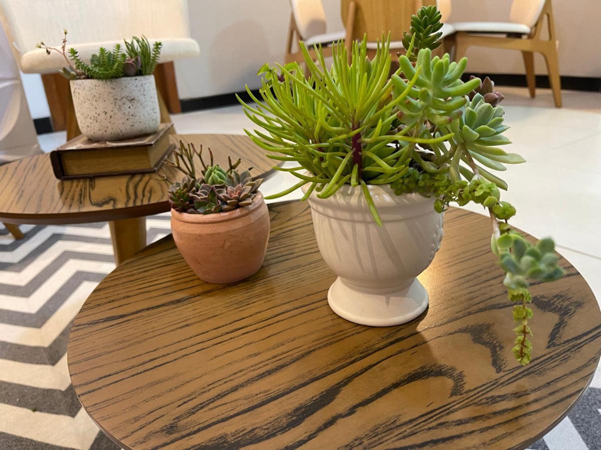 Apartamento Em Santa Teresa 산타 테레사 외부 사진